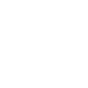 a close up of a logo