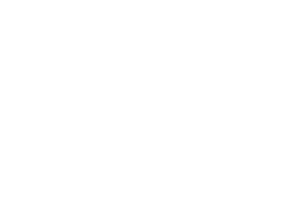 the jones logo